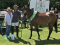 June Tournament: BPP Samba, owned by James Mann